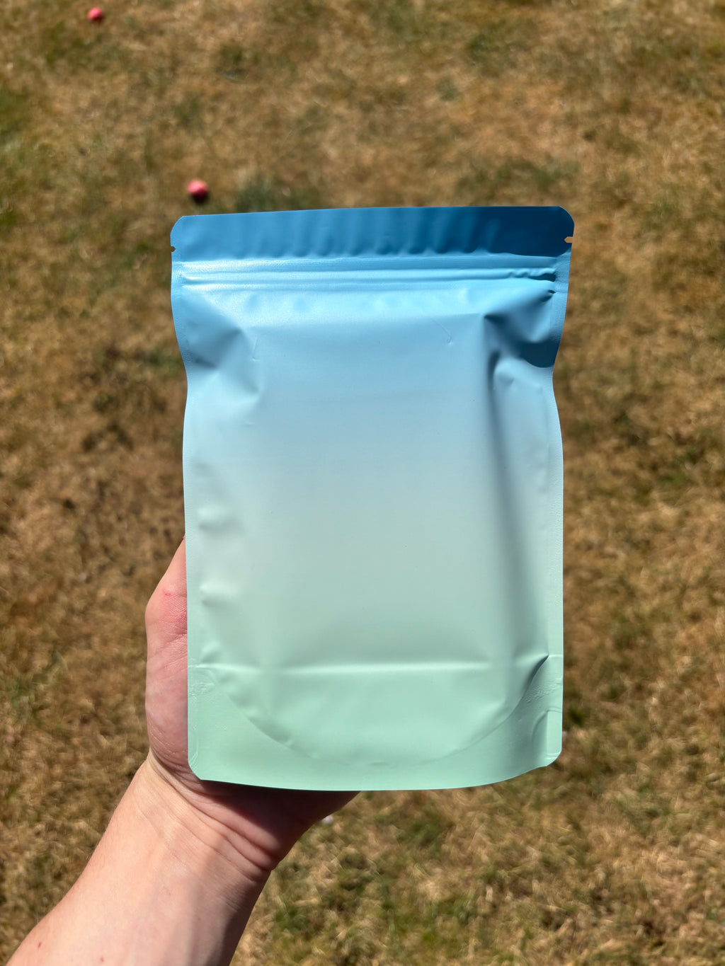 Pokémon TCG Mystery Bag